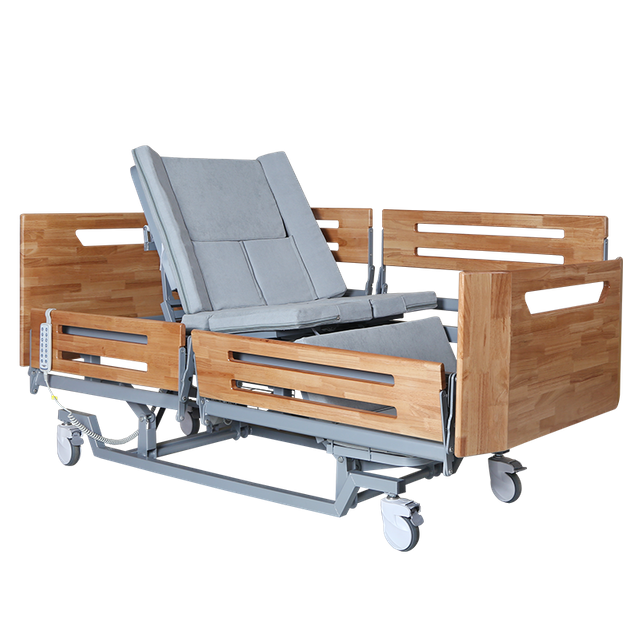 Maidesite E102 Multifunctional Electric Nursing Bed